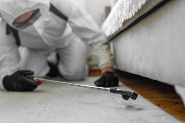 Professional Pest Control technician working in Blakely, PA