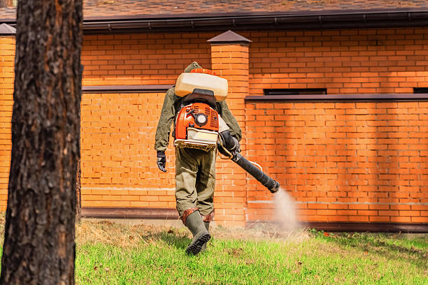 Trusted Bed Bug Control service in Blakely, PA - Nex Pest Control